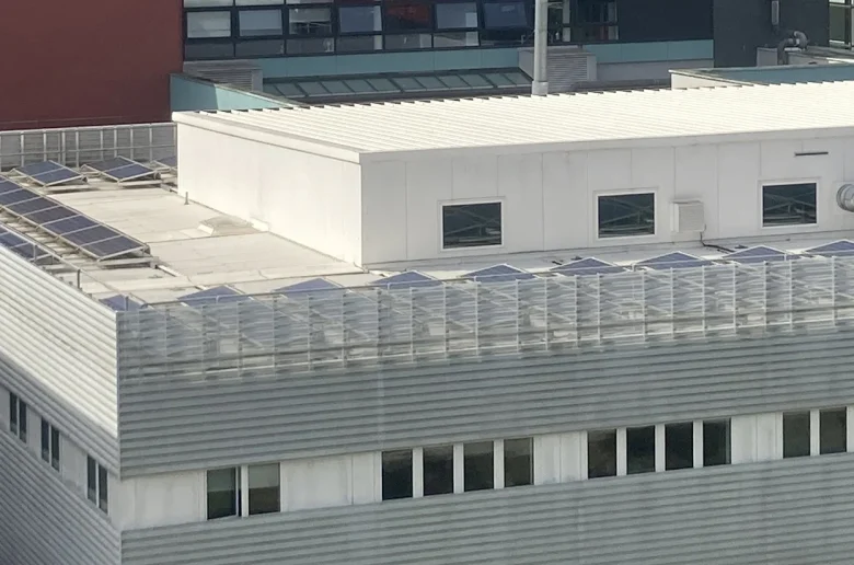 Commercial Solar On Flat Roof